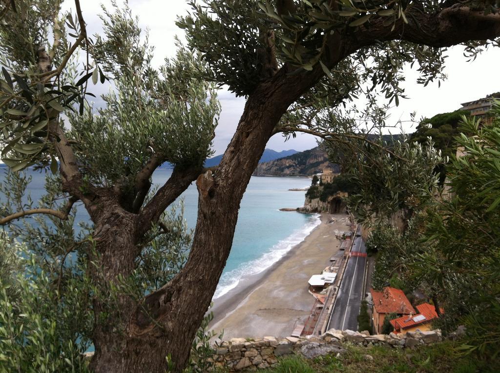 Agriturismo La Rocca Di Perti فينالي ليغوري المظهر الخارجي الصورة