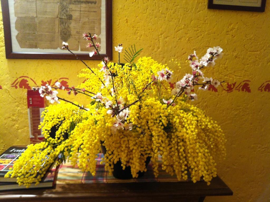 Agriturismo La Rocca Di Perti فينالي ليغوري المظهر الخارجي الصورة