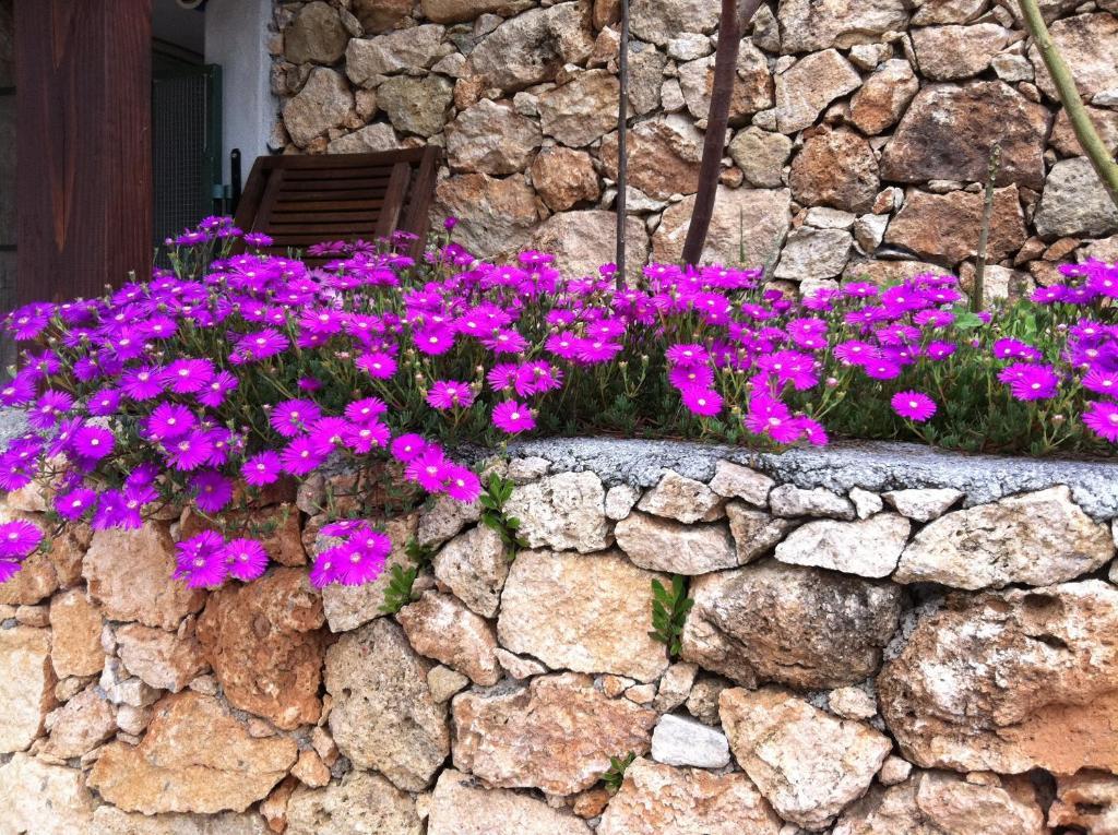 Agriturismo La Rocca Di Perti فينالي ليغوري المظهر الخارجي الصورة