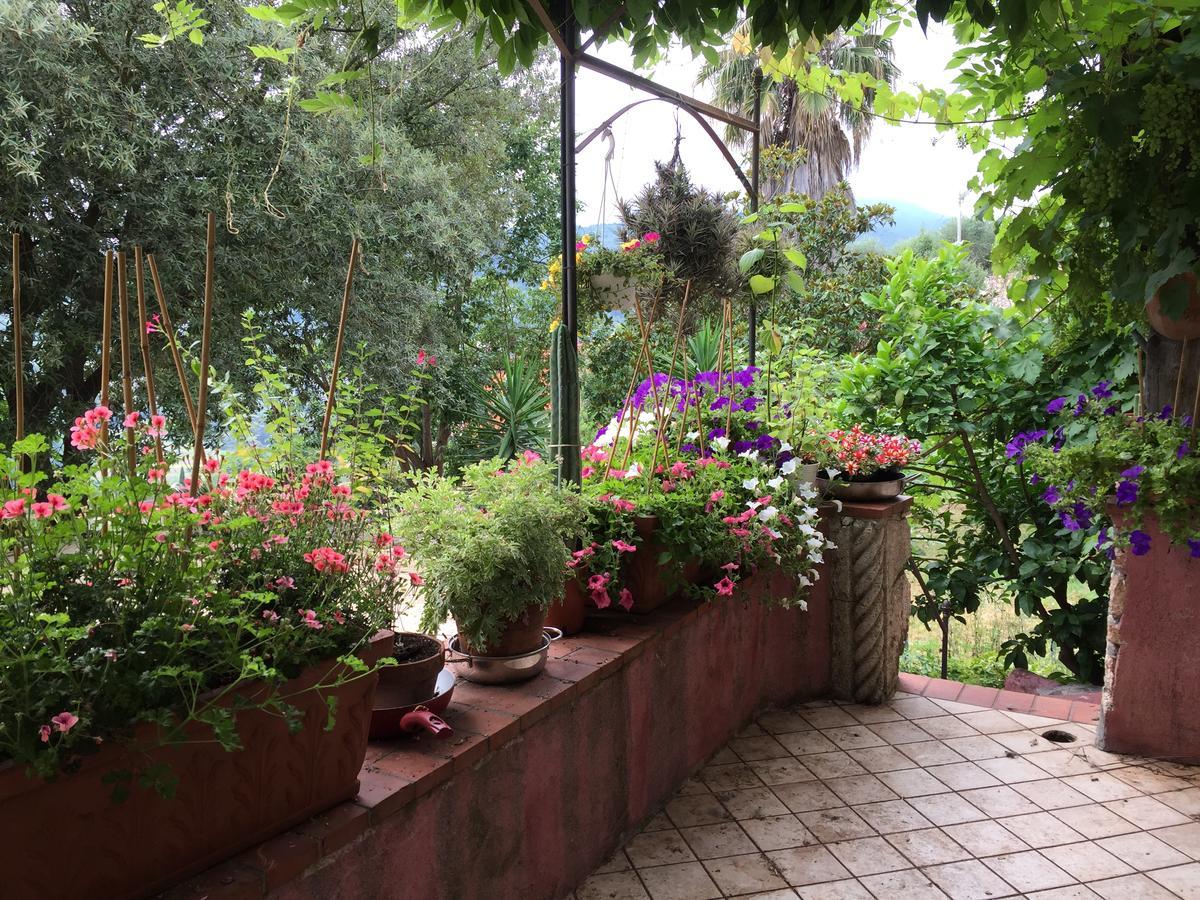 Agriturismo La Rocca Di Perti فينالي ليغوري المظهر الخارجي الصورة